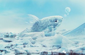 Creative synthesis, synthesis of goldfish scenes with frozen special effects – photo synthesis