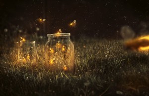 Scene synthesis, synthesize a beautiful and dreamy firefly scene in PS – photo synthesis