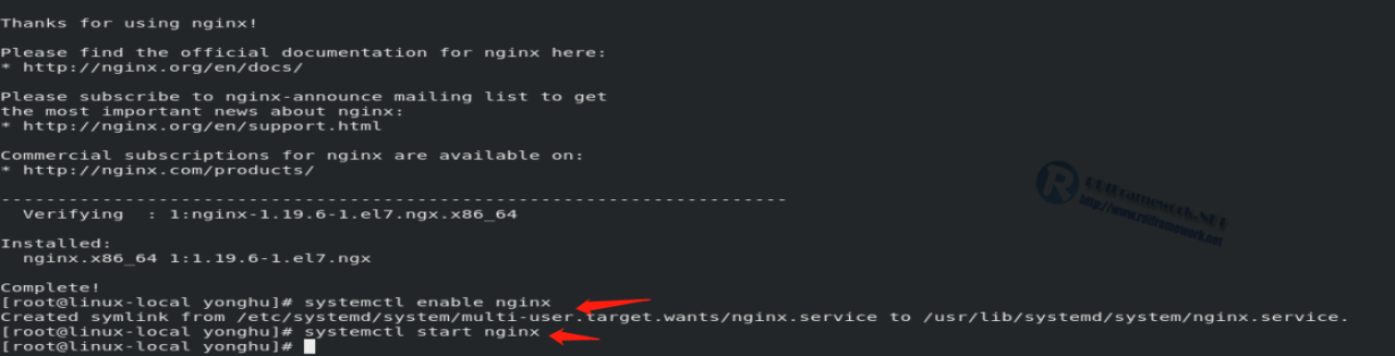 Set nginx to boot and start nginx