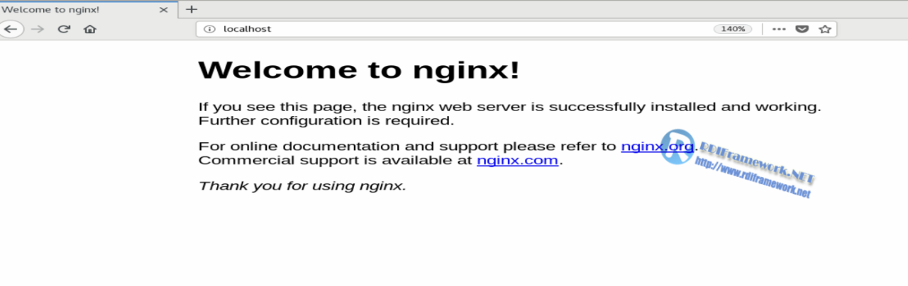 nginx startup interface